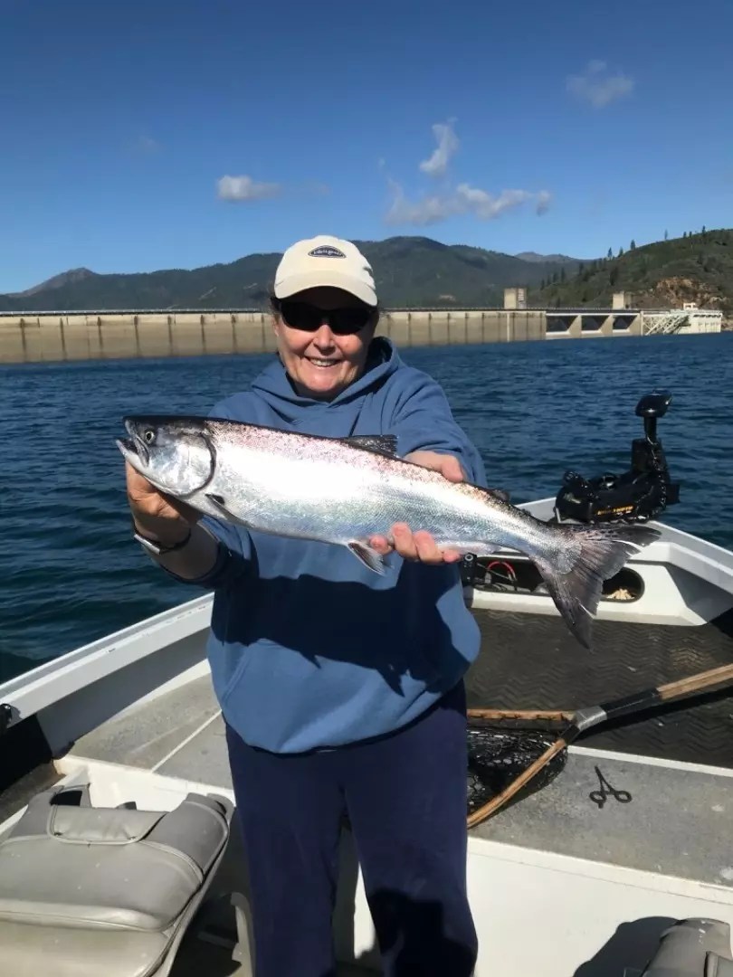 Shasta Lake Fish Report Shasta Lake Shasta Lake Big King Salmon and Rainbow Trout June 7, 2020