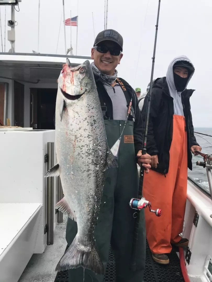 KingFish Fish Report KingFish TigerFish Salmon Limits June 26, 2020