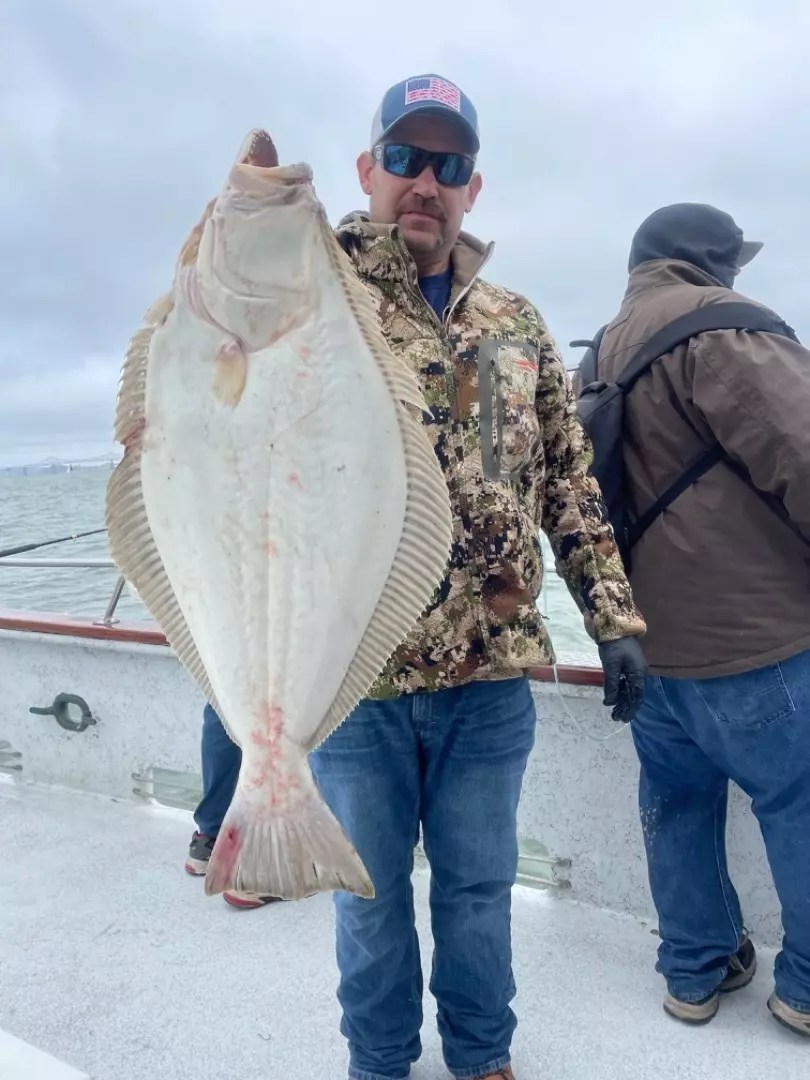 Live bait halibut and bass 6112023