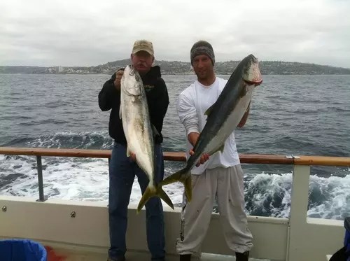 La Jolla Kelp Beds Fish Report