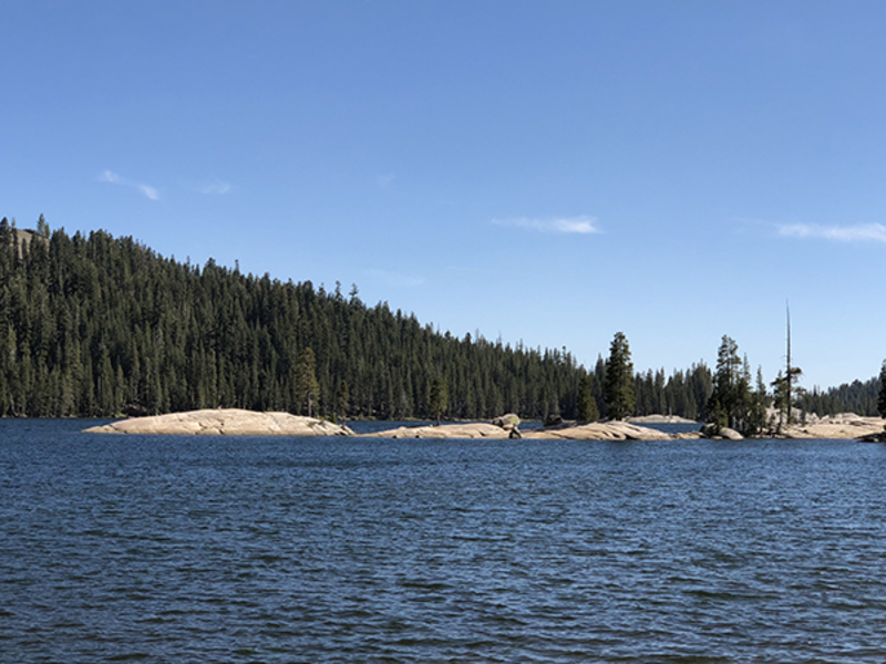 Lake Alpine Fish Report Lake Alpine, CA (Alpine County)