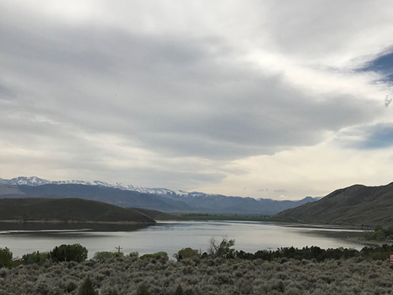 Topaz Lake Fish Reports & Map