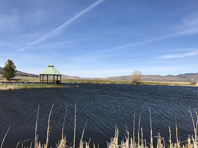 Wilson Common Pond Washoe Valley, NV (Washoe County)