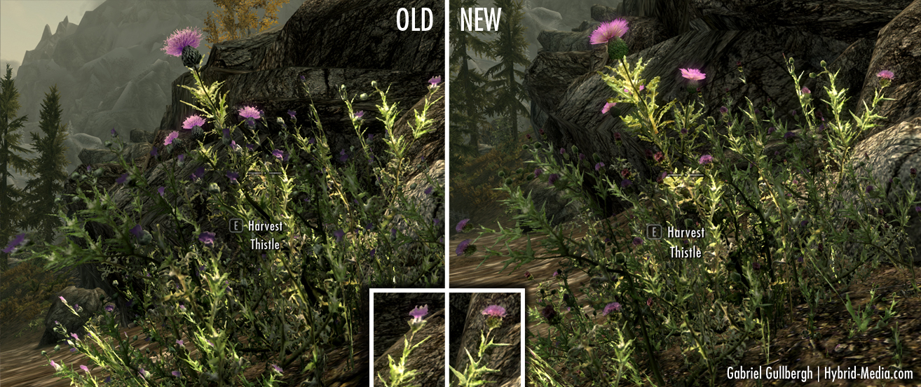 Skyrim Flowers Retexture Best Flower Site