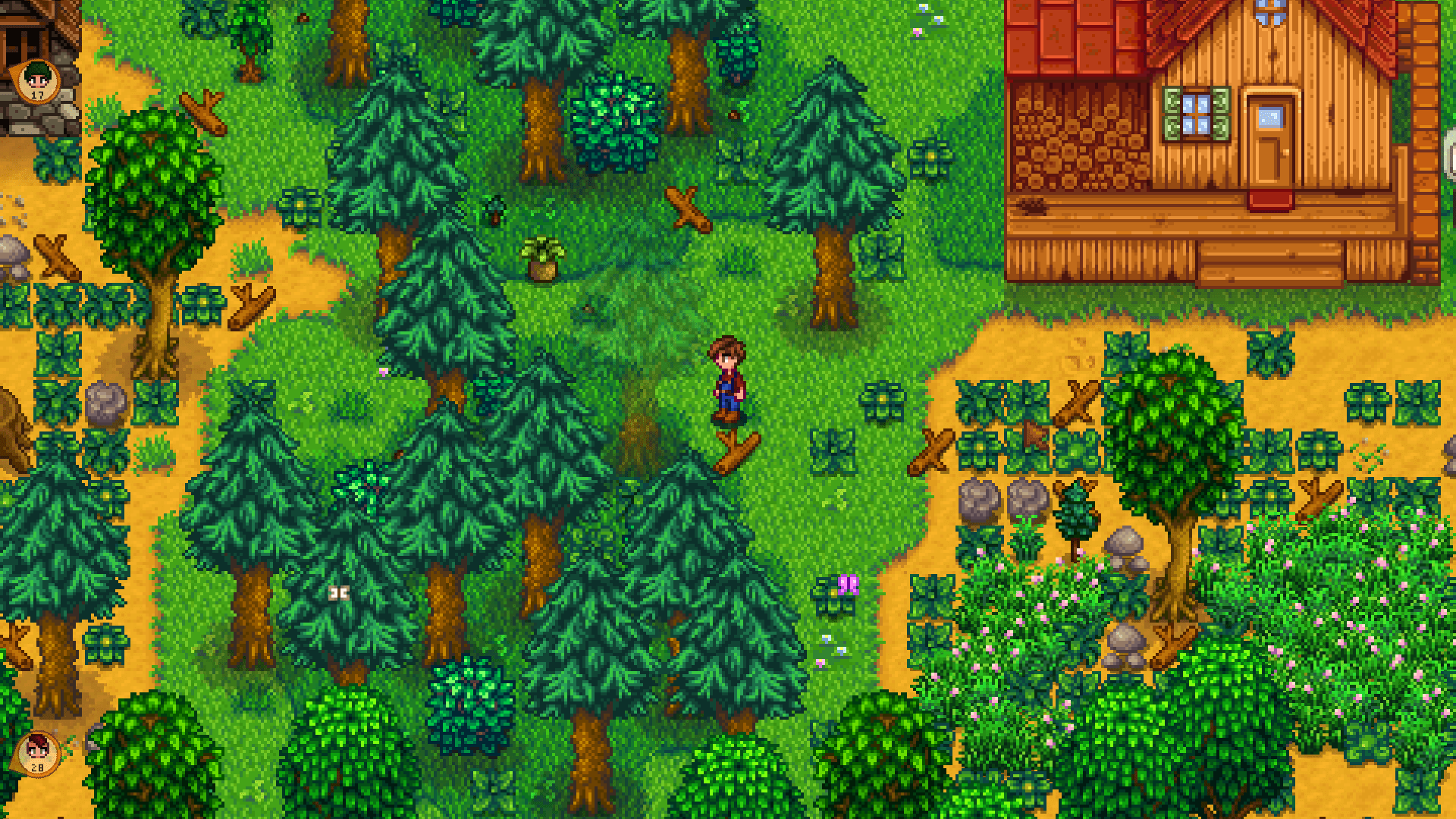 Location Compass Screenshots Mods Stardew Valley