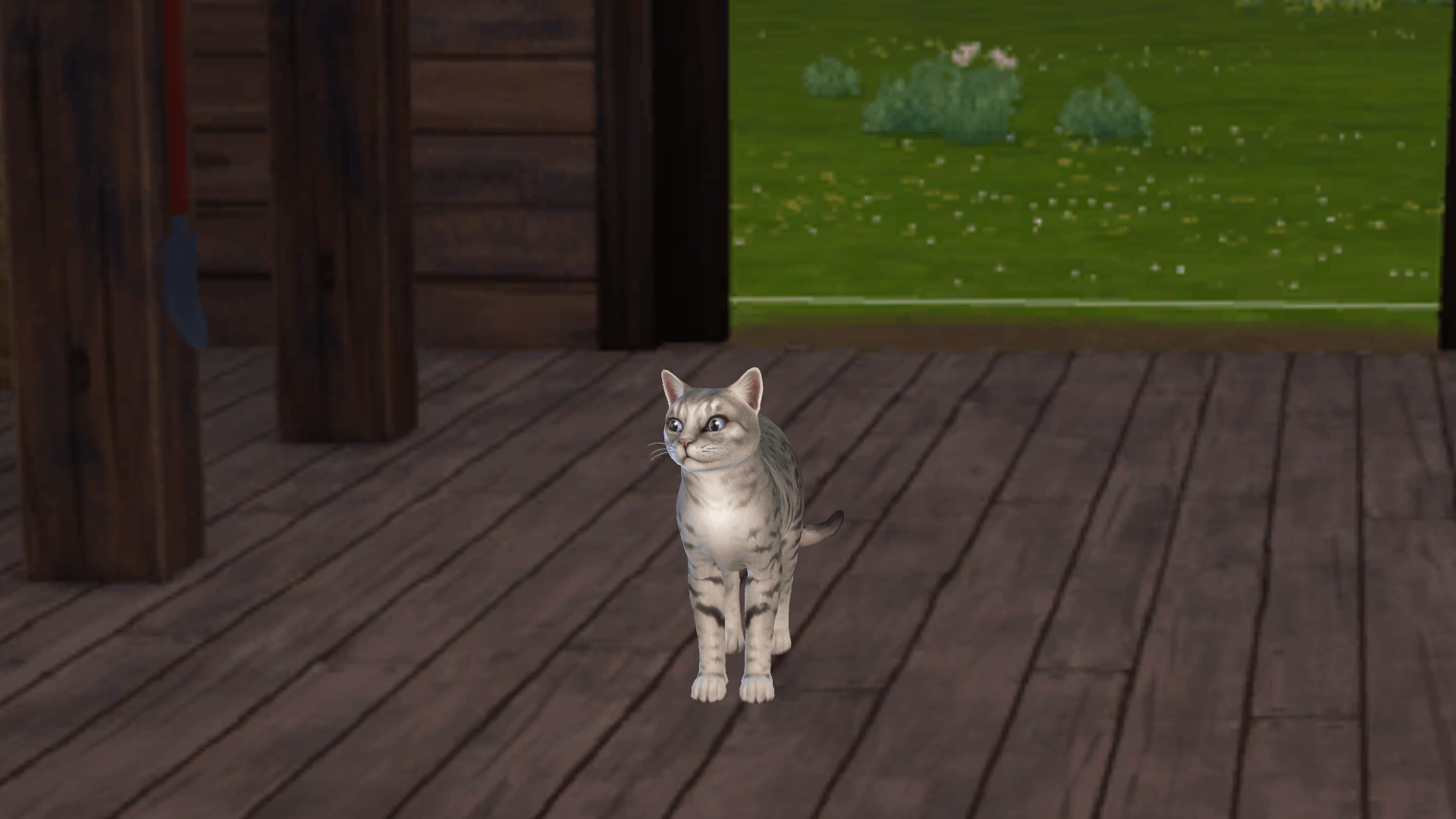 TS3 Pets inspired CAS background Screenshots The Sims 4 Mods