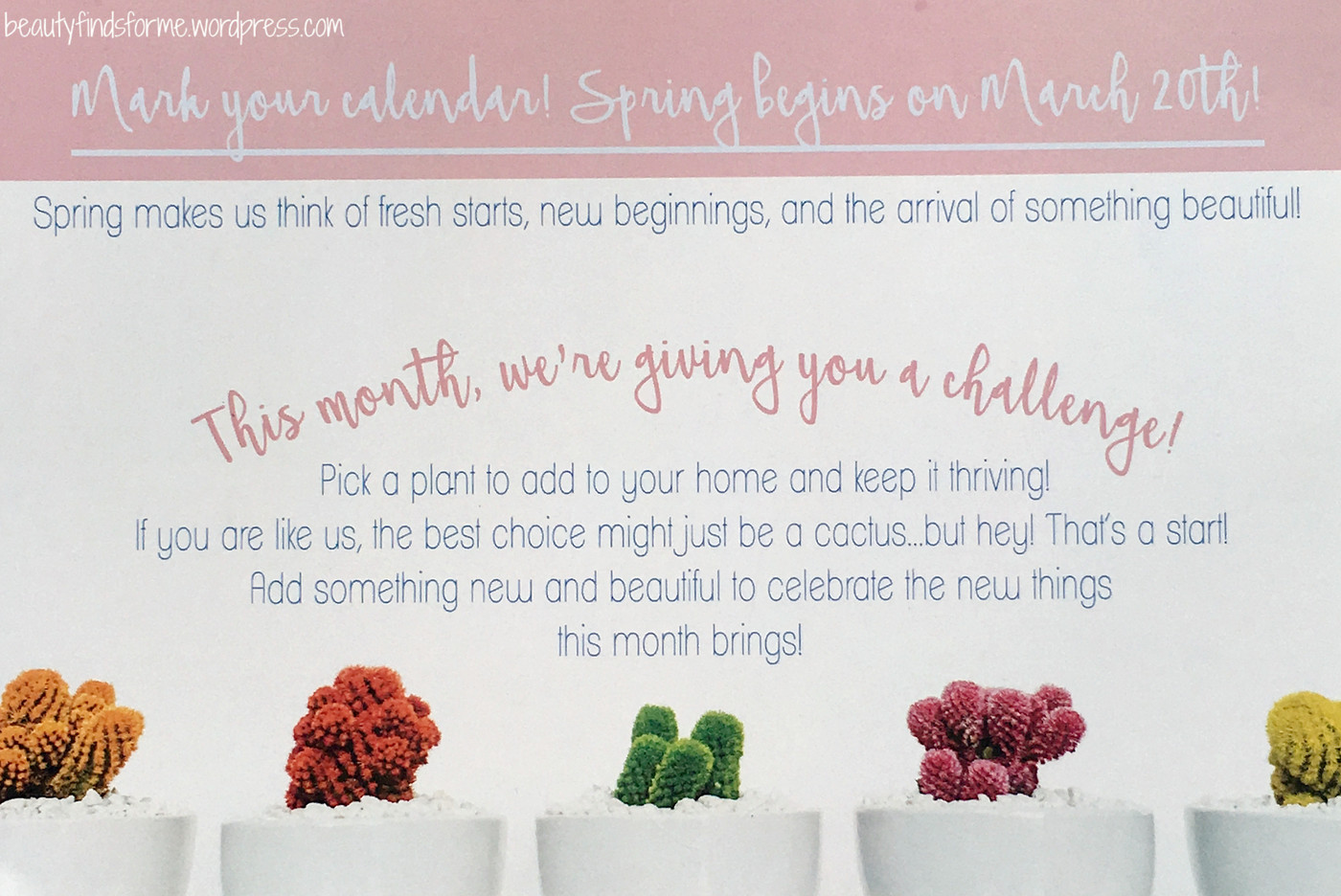 March 2018 Peaches & Petals Unboxing + Promo Code Unboxing Beauty