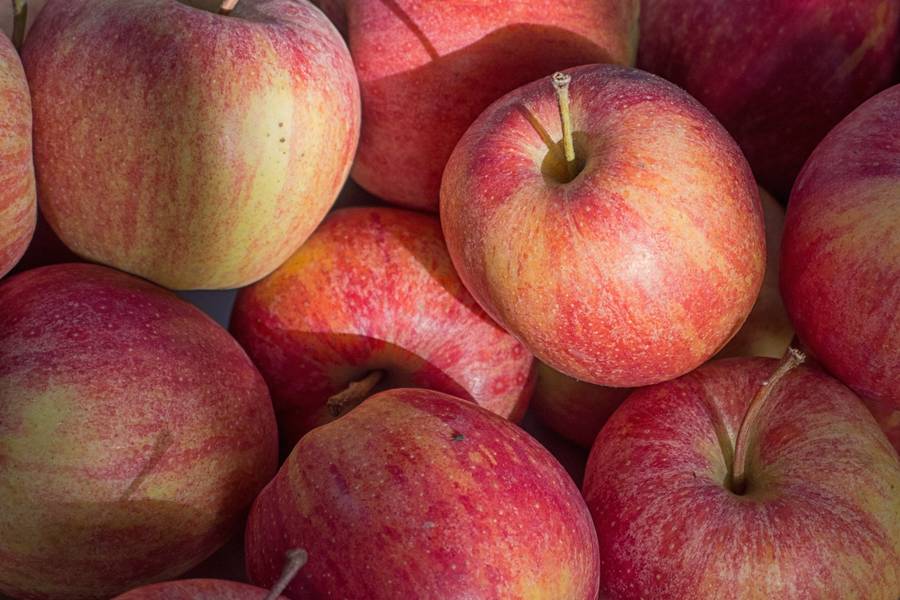 Red Apples Free Texture