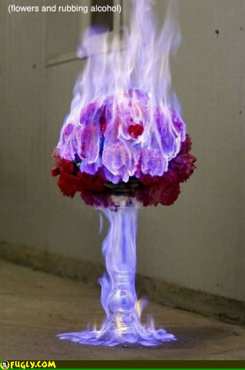 Flowers And Rubbing Alcohol Random Images Fugly