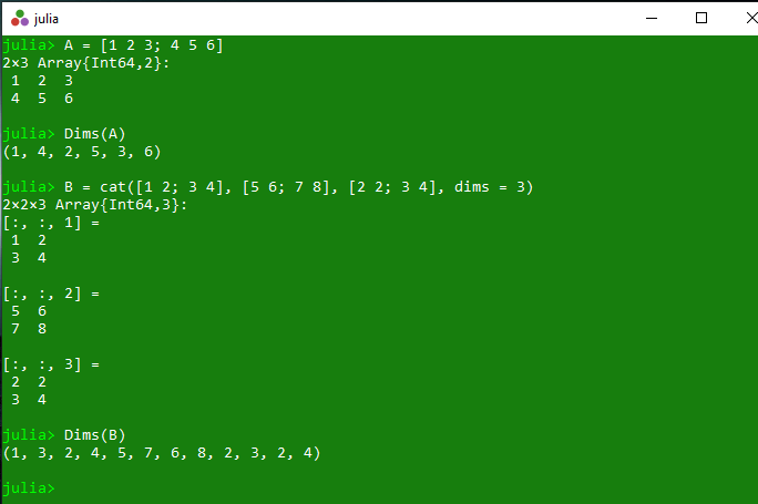 Representing the dimensions of array in Julia Dims() Method