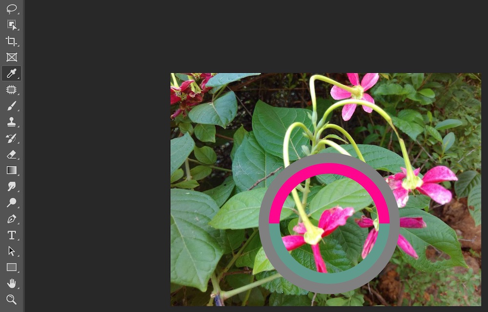 How to Use Eyedropper Tool in