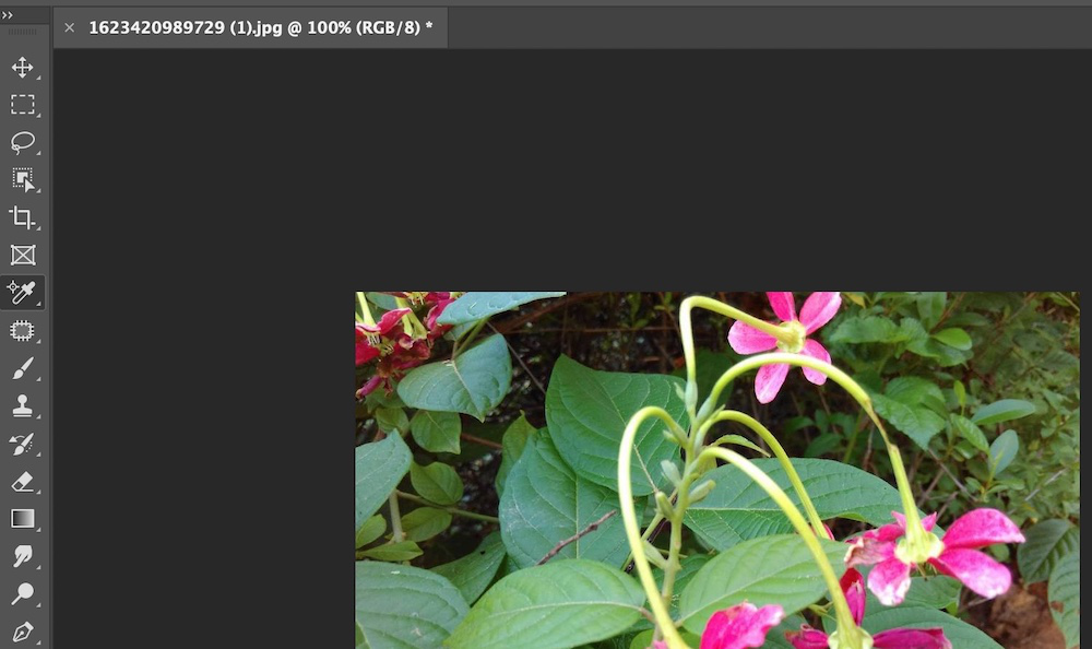 Color Burn Photoshop 2023 How To Use The Color Sampler Tool In Photoshop? - Geeksforgeeks