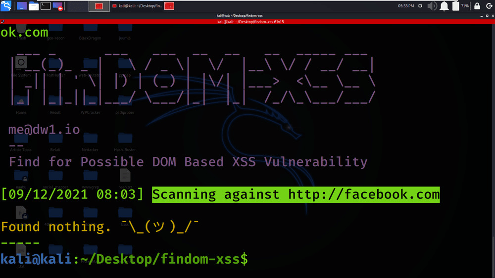FinDOMXSS Fast DOM Based XSS Vulnerability Scanner