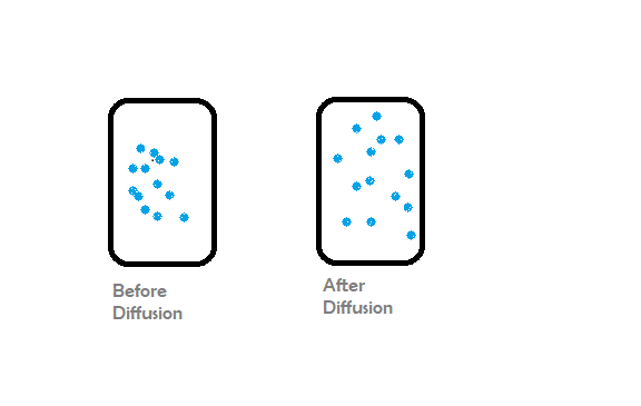 Diffusion in Solids, Liquids, and Gases | GeeksforGeeks