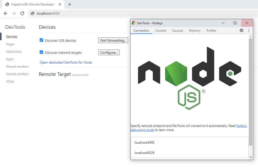 How to handle error in Express.js ?