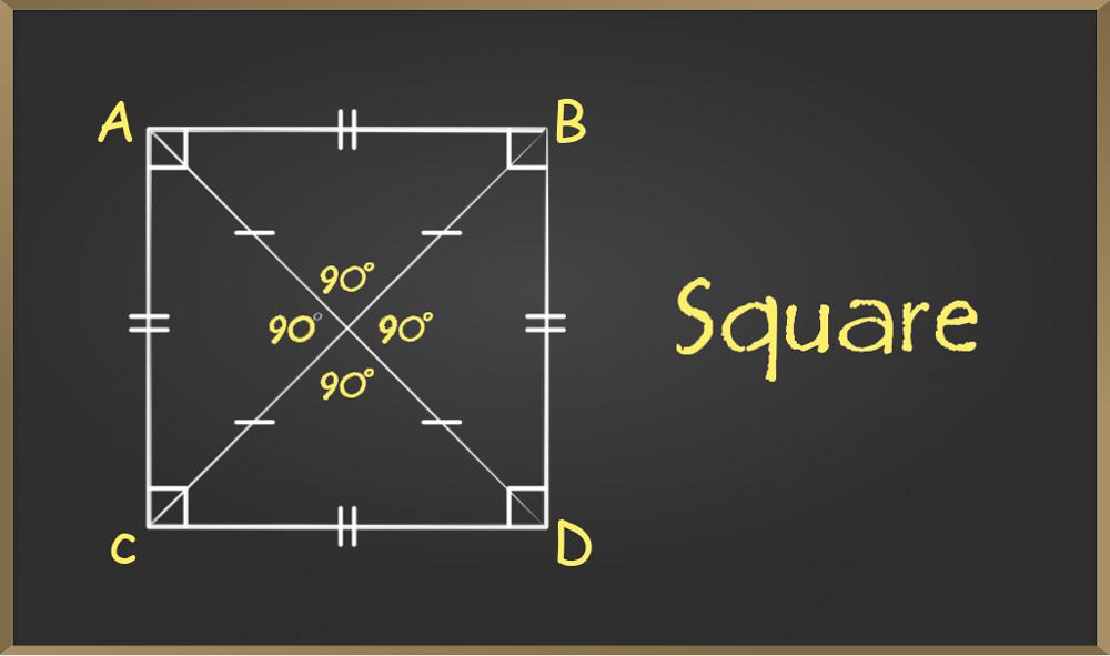 Quadrilateral Square In Real Life
