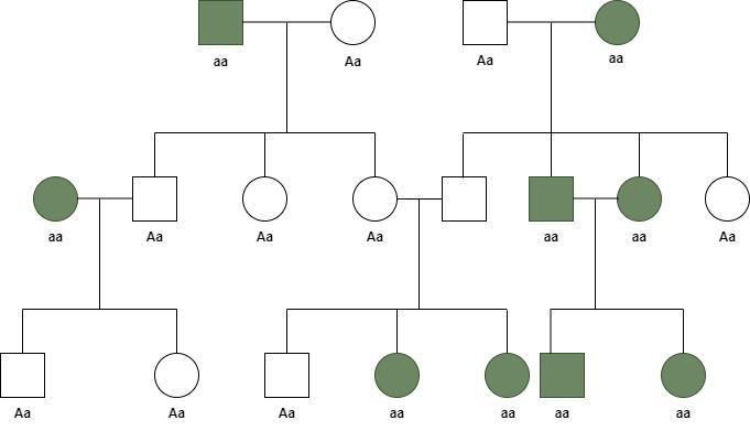 Autosomal Recessive Inheritance