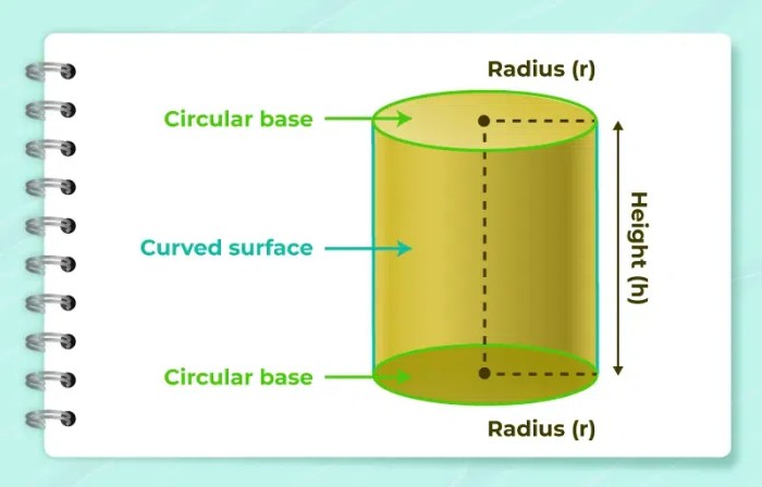 Cylinder | Shape, Formula and Examples - GeeksforGeeks Cylinder | Shape, Formula and Examples - GeeksforGeeks