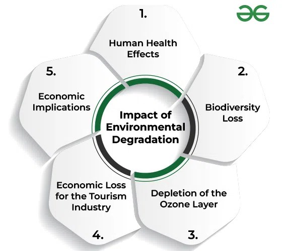 Causes and Impact of Environmental Degradation