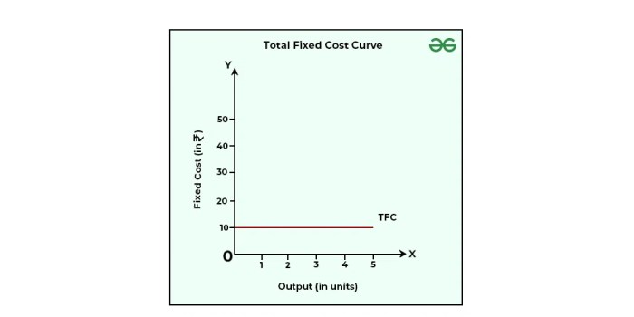 Economics managerial fixed
