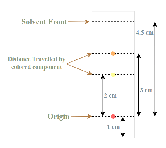 Retention Factor Formula Definition, Examples, and FAQs