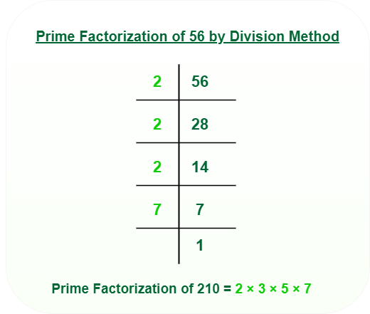 Prime Factorization | GeeksforGeeks