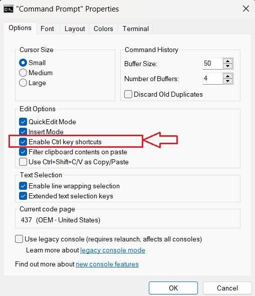 How to Fix Ctrl+C and Ctrl+V Not Working in Windows?