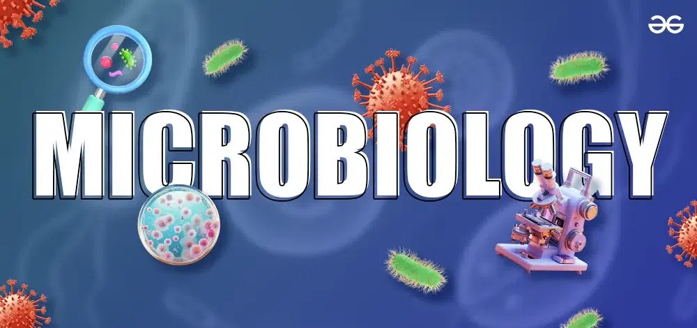 Microbiology | GeeksforGeeks