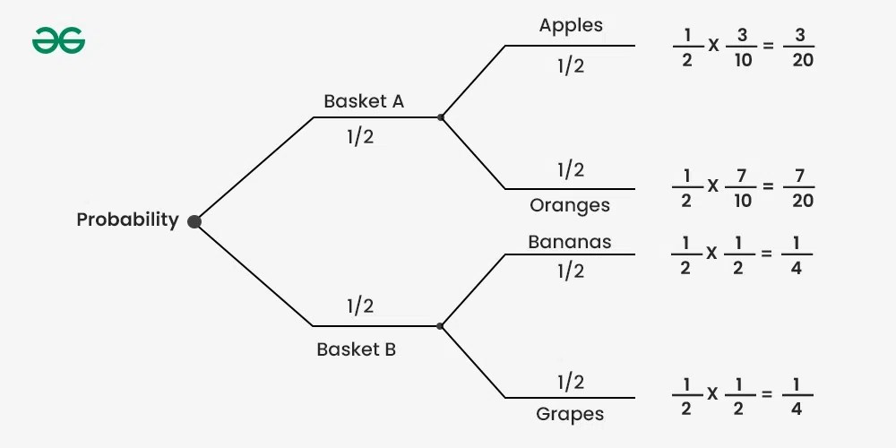 Probability Tree Diagram Definition and How to Use