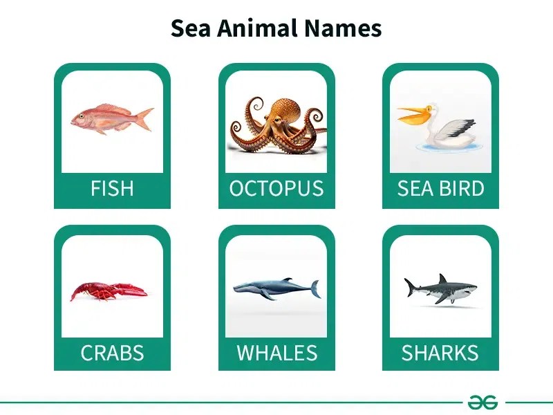 List of Sea Animals Names (All Aquatic Animals Names with Examples)