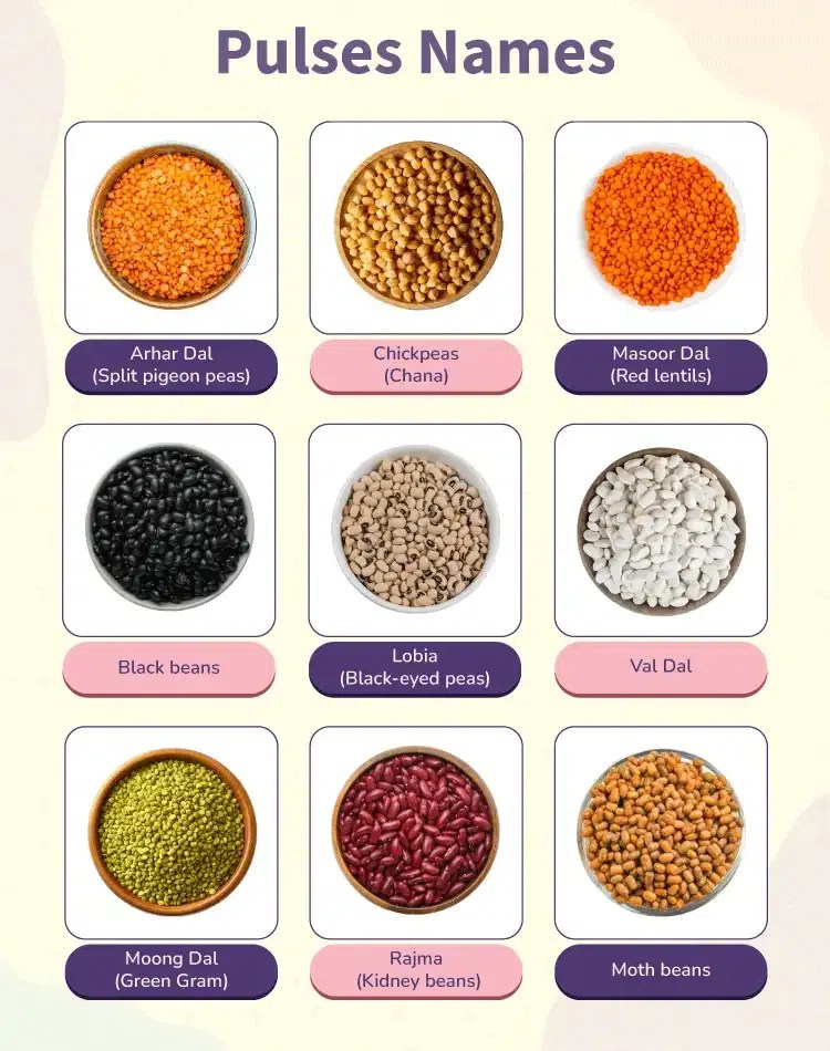 List of Pulses Name in English & Hindi with Pictures