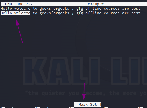 How to Copy in Nano Editor - GeeksforGeeks