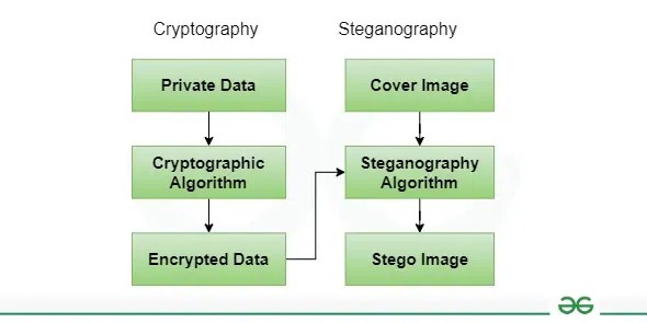 Difference between Steganography and Cryptography - GeeksforGeeks