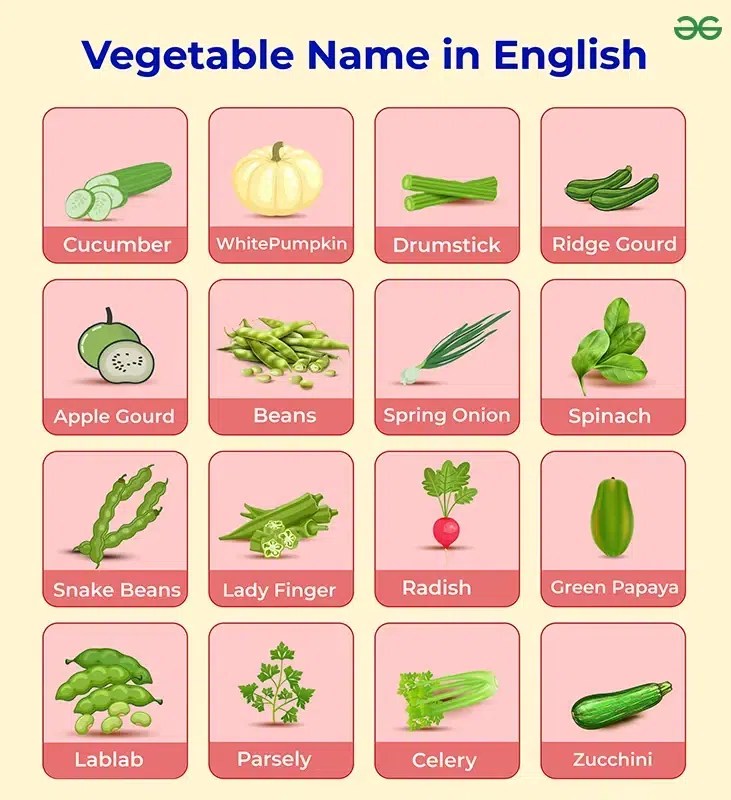 Vegetable Names in English Most Common 50+ Vegetables Name