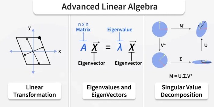 Linear algebra Linear algebra