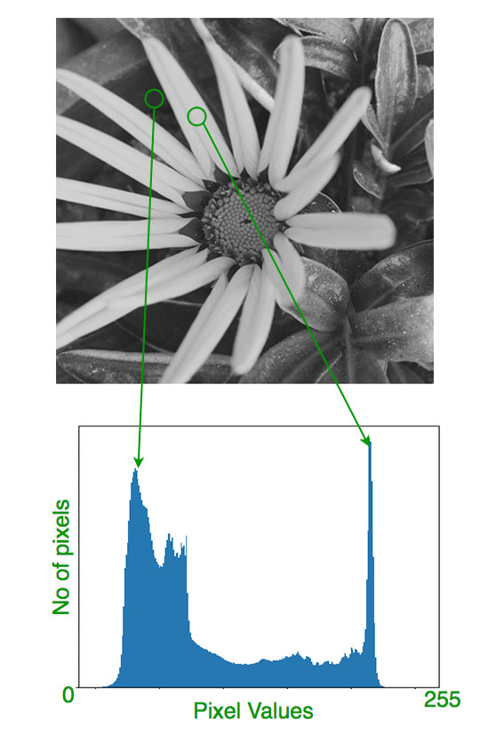 OpenCV Analyze an image using Histogram PythonPandas