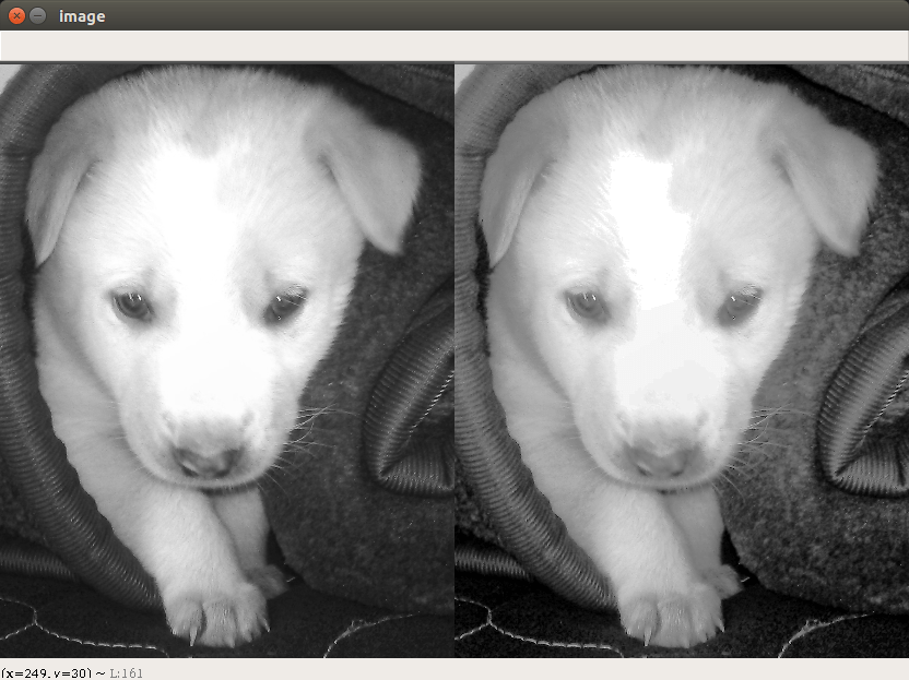 Histograms Equalization in OpenCV