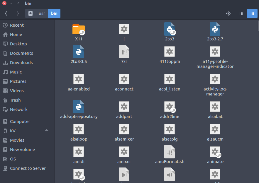 Linux File Hierarchy Structure