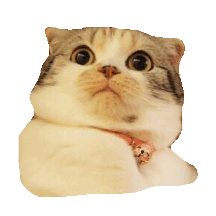 Shocked Surprised GIF by imoji for iOS & Android GIPHY