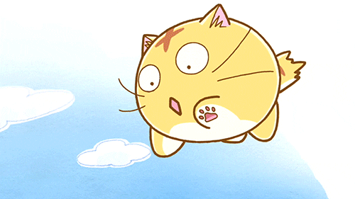 Cats Everywhere GIFs Find & Share on GIPHY