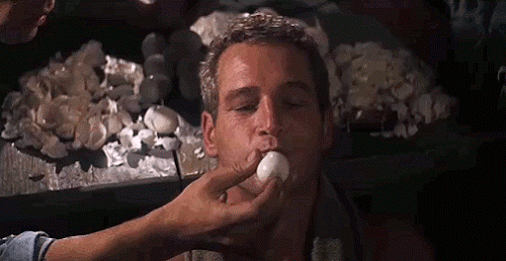 Paul Newman Egg GIF Find & Share on GIPHY