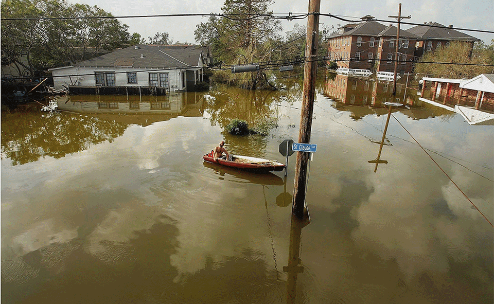 New Orleans GIF Find & Share on GIPHY