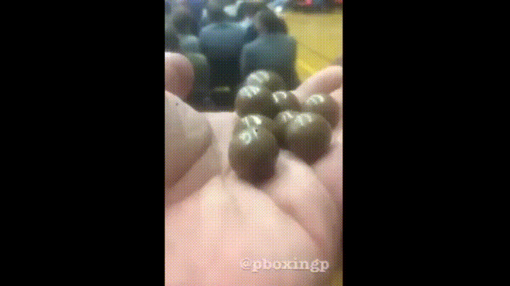 Anyone GIF Find & Share on GIPHY