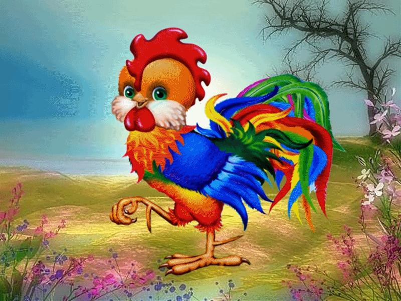 Rooster GIF Find & Share on GIPHY
