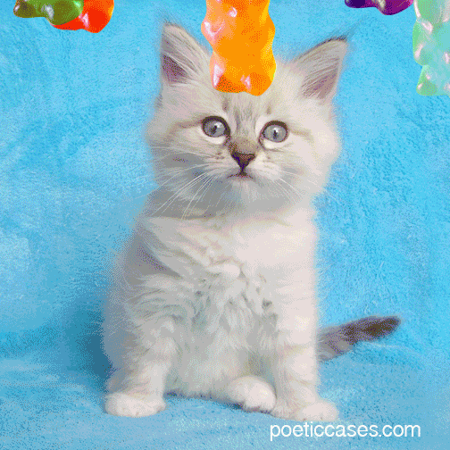 Living Like Mabel Day 2 Diet Gravity Falls Amino