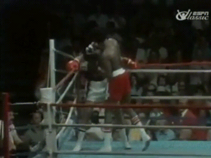 Ali Seconds GIF Find & Share on GIPHY