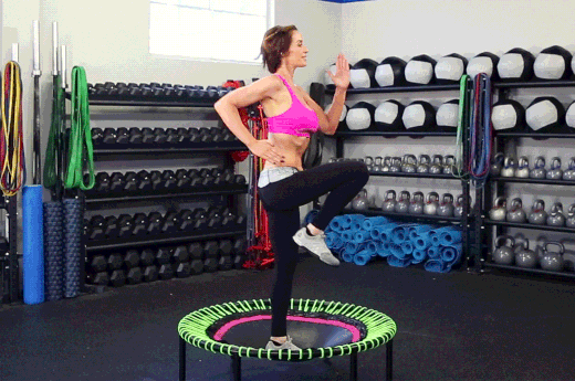 Trampoline GIF Find & Share on GIPHY