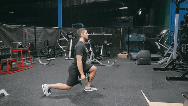 Split Squat Dumbell Lunge GIF by Hockey Training Find & Share on GIPHY