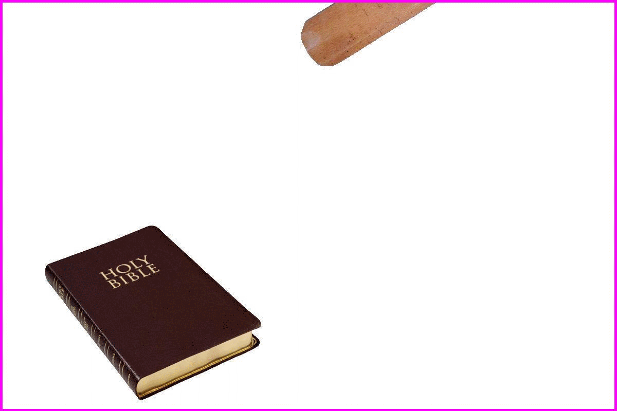Bible Cartoon GIF