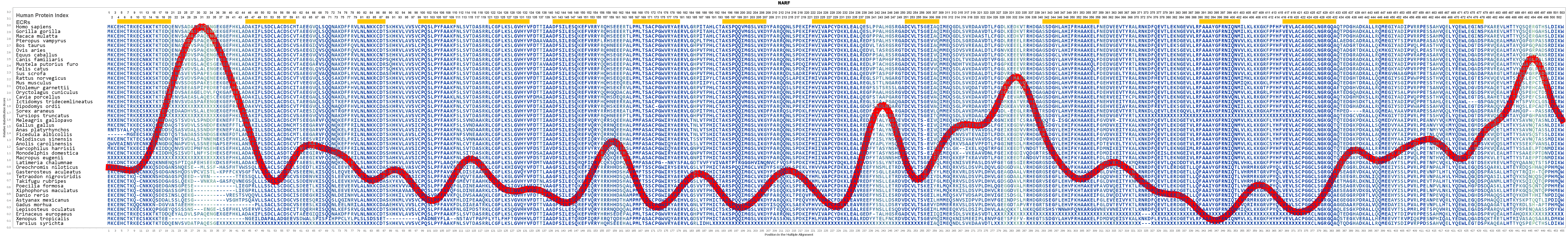 NARF Gene GeneCards NARF Protein NARF Antibody